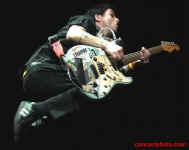 green day //punkrock